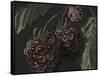 Midnight Raspberries-Megan Meagher-Framed Stretched Canvas