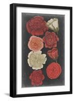 Midnight Roses-Vision Studio-Framed Art Print