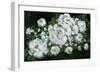 Midnight Roses-Yvette St. Amant-Framed Art Print