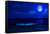 Midnight Sea Landscape with a Full Moon and Waves Breaking on the Beach-Kamira-Framed Stretched Canvas