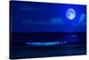 Midnight Sea Landscape with a Full Moon and Waves Breaking on the Beach-Kamira-Stretched Canvas