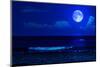 Midnight Sea Landscape with a Full Moon and Waves Breaking on the Beach-Kamira-Mounted Photographic Print