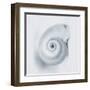 Midnight Snail-Tracey Telik-Framed Art Print