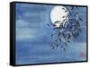 Midnight Snow-Nan Rae-Framed Stretched Canvas