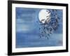 Midnight Snow-Nan Rae-Framed Art Print