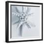 Midnight Starfish-Tracey Telik-Framed Art Print