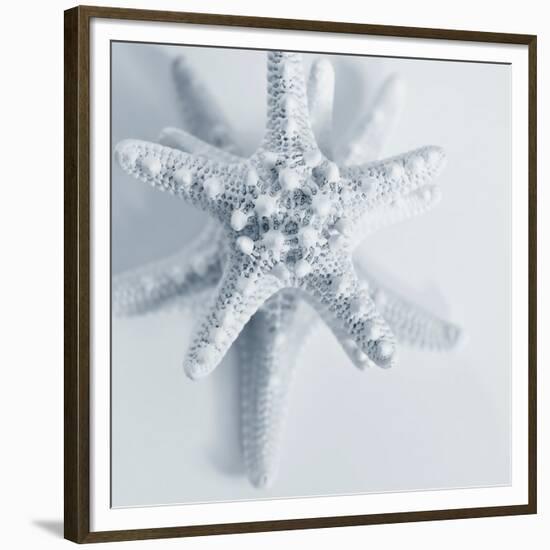 Midnight Starfish-Tracey Telik-Framed Premium Giclee Print