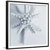 Midnight Starfish-Tracey Telik-Framed Premium Giclee Print