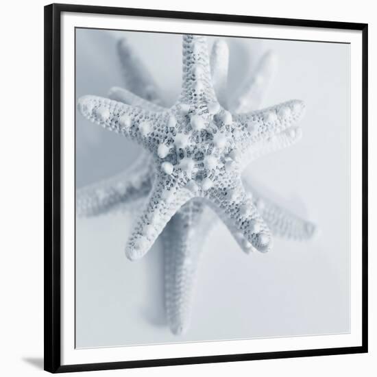 Midnight Starfish-Tracey Telik-Framed Premium Giclee Print