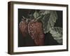 Midnight Strawberries-Megan Meagher-Framed Art Print