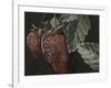 Midnight Strawberries-Megan Meagher-Framed Art Print