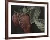 Midnight Strawberries-Megan Meagher-Framed Art Print
