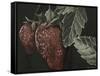 Midnight Strawberries-Megan Meagher-Framed Stretched Canvas