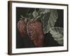 Midnight Strawberries-Megan Meagher-Framed Art Print