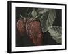 Midnight Strawberries-Megan Meagher-Framed Art Print