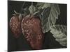 Midnight Strawberries-Megan Meagher-Mounted Art Print