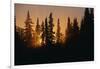 Midnight Sun and Forest Along Alaska Highway-Paul Souders-Framed Photographic Print