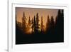 Midnight Sun and Forest Along Alaska Highway-Paul Souders-Framed Photographic Print