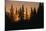 Midnight Sun and Forest Along Alaska Highway-Paul Souders-Mounted Photographic Print