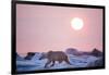 Midnight Sun and Polar Bear, Hudson Bay, Nunavut, Canada-Paul Souders-Framed Photographic Print