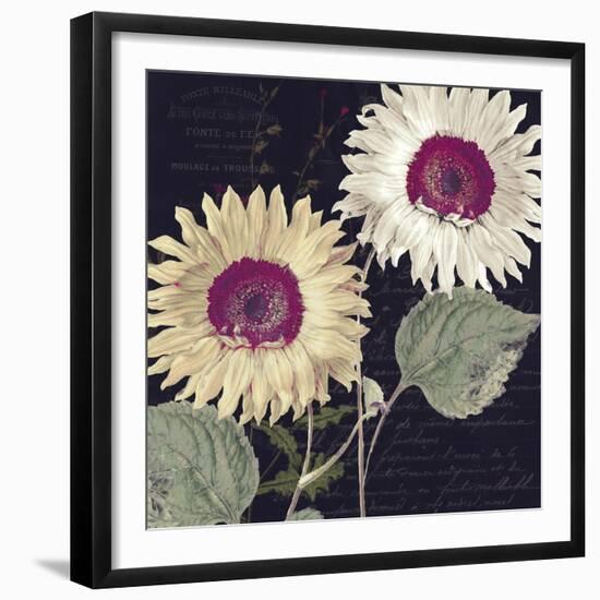 Midnight Sun I-Color Bakery-Framed Giclee Print