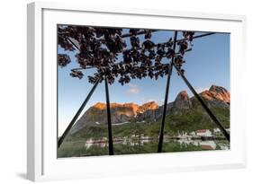 Midnight Sun on Dried Fish Framed by Fishing Village and Peaks, Reine, Nordland County-Roberto Moiola-Framed Photographic Print