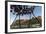 Midnight Sun on Dried Fish Framed by Fishing Village and Peaks, Reine, Nordland County-Roberto Moiola-Framed Photographic Print