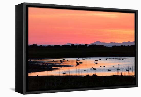 Midnight Sun, Reykjavik, Iceland-null-Framed Stretched Canvas