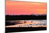 Midnight Sun, Reykjavik, Iceland-null-Mounted Photographic Print