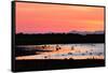 Midnight Sun, Reykjavik, Iceland-null-Framed Stretched Canvas