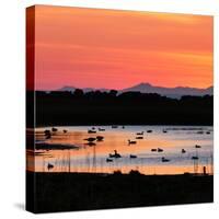 Midnight Sun, Reykjavik, Iceland-null-Stretched Canvas