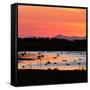 Midnight Sun, Reykjavik, Iceland-null-Framed Stretched Canvas