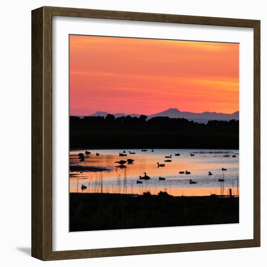 Midnight Sun, Reykjavik, Iceland-null-Framed Photographic Print