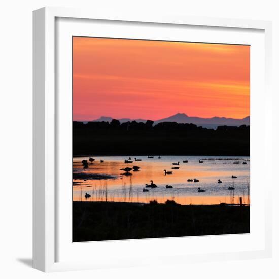 Midnight Sun, Reykjavik, Iceland-null-Framed Photographic Print