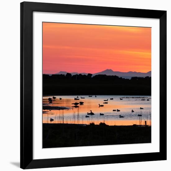 Midnight Sun, Reykjavik, Iceland-null-Framed Photographic Print