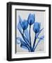 Midnight Tulips 2-Albert Koetsier-Framed Art Print