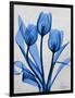 Midnight Tulips 2-Albert Koetsier-Framed Art Print