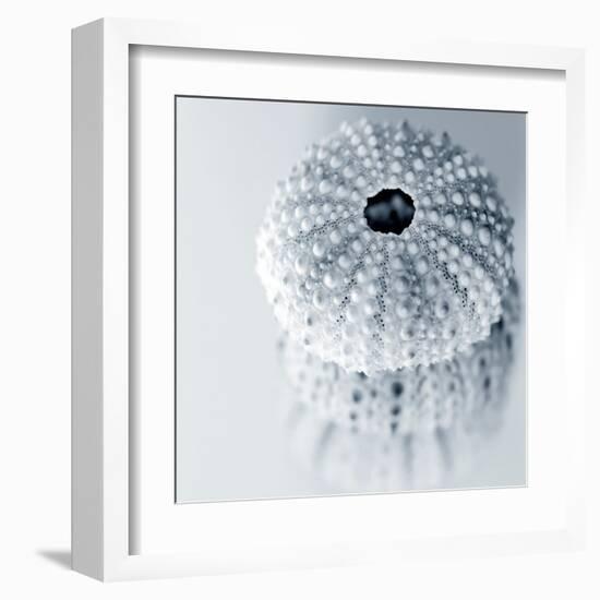 Midnight Urchins-Tracey Telik-Framed Art Print