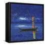 Midnight Voyage 2-Michel Rauscher-Framed Stretched Canvas