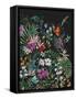 Midnight Wildflowers-Jacob Q-Framed Stretched Canvas