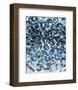 Midnight-Jessica Torrant-Framed Art Print