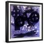 Midnight-Gloria Wallington-Framed Giclee Print