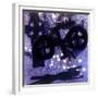 Midnight-Gloria Wallington-Framed Giclee Print