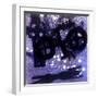 Midnight-Gloria Wallington-Framed Giclee Print