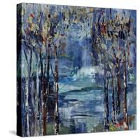 Midnite Dreamer-Jodi Maas-Stretched Canvas