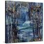 Midnite Dreamer-Jodi Maas-Stretched Canvas