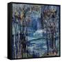 Midnite Dreamer-Jodi Maas-Framed Stretched Canvas