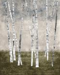 Fall Forest - Radiant-Midori Greyson-Giclee Print