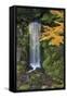 Midoritaki Waterfall, Kenrokuen Garden, Kanazawa, Ishikawa Prefecture, Central Honshu, Japan, Asia-Stuart Black-Framed Stretched Canvas