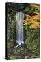 Midoritaki Waterfall, Kenrokuen Garden, Kanazawa, Ishikawa Prefecture, Central Honshu, Japan, Asia-Stuart Black-Stretched Canvas